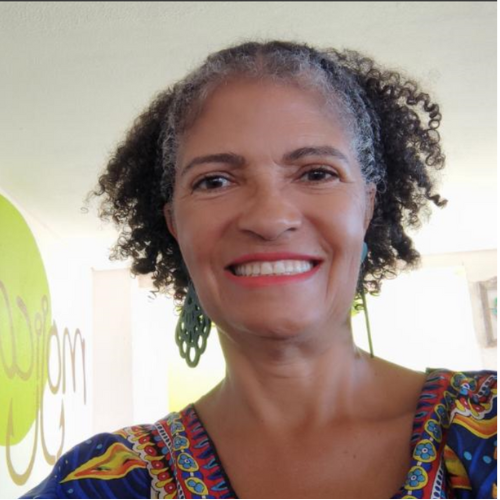 Profa. Dra. Avacir Gomes dos Santos Silva